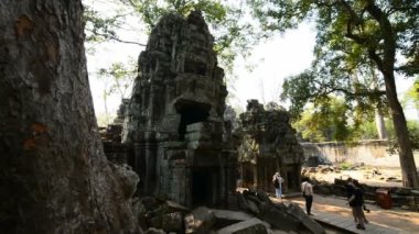 Ta Prohm Tapınağının kalıntıları, Angkor, Kamboçya, Asya