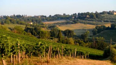 Arka planda San Gimignano, Toskana, İtalya, Avrupa.