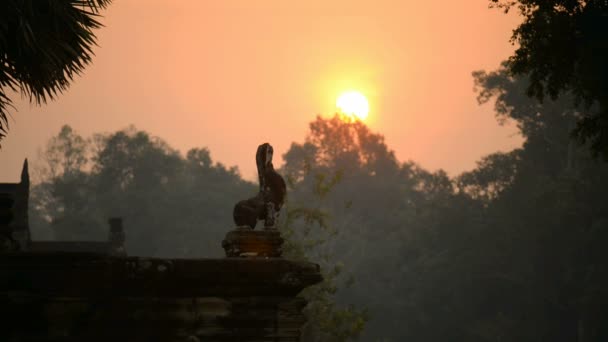 Angkor Wat Tempel Angkor Cambodja Azië — Stockvideo