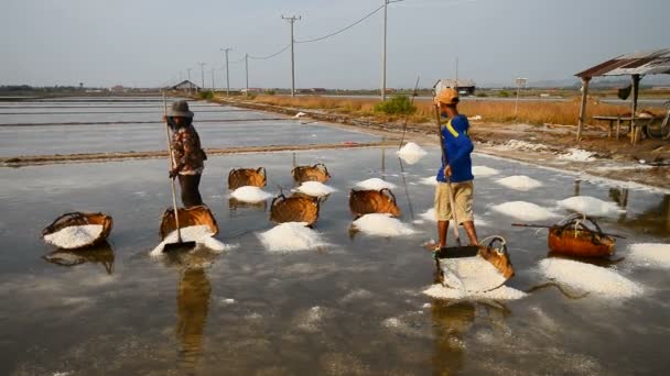 Kampot Cambodia 12Th March 2017 Local People Working Salt Fields — Stock Video