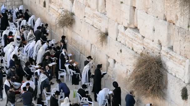 Jerusalem Israel December 2016 Judar Som Ber Framför Västra Muren — Stockvideo
