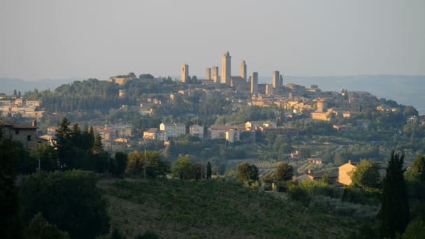 Vinhedo Com San Gimignano Fundo Toscana Itália Europa — Vídeo de Stock