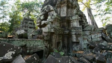 Ta Prohm Tapınağının kalıntıları, Angkor, Kamboçya, Asya