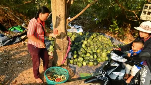Sihanouk Cambodia 13Th March 2017 Local Woman Sell Watermelons Street — Stock Video