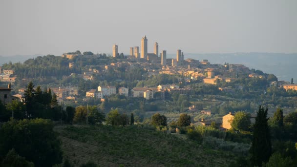 Vignoble Avec San Gimignano Arrière Plan Toscane Italie Europe — Video