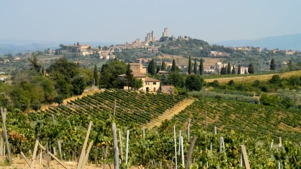 Hermosa Vista Ciudad Medieval San Gimignano Toscana Italia — Vídeo de stock