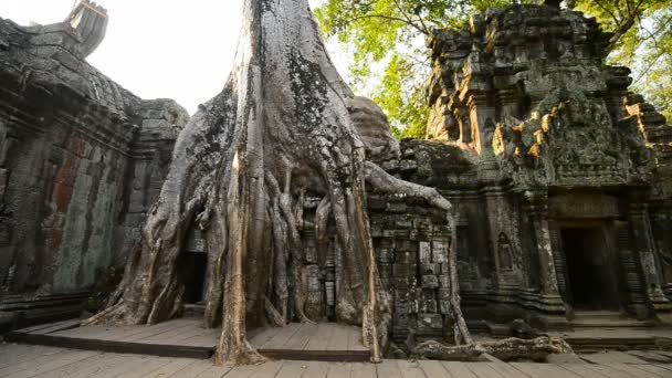 Siem Reap Cambodia Março 2017 Ruínas Templo Prohm Angkor Camboja — Vídeo de Stock