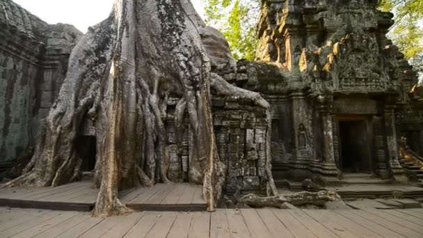 Siem Reap Cambodia Марта 2017 Года Руины Храма Пром Ангкор — стоковое видео