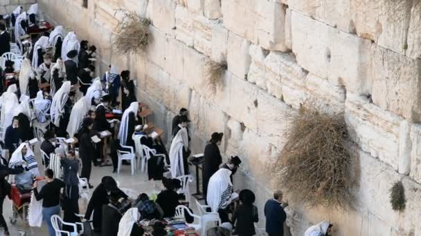 Jerusalem イスラエル 2016年12月26日 イスラエルのエルサレムの旧市街の西の壁の前で祈るユダヤ人 — ストック動画