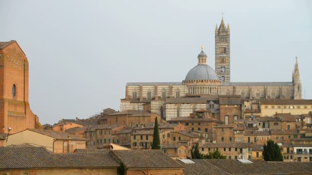 Vista Panorâmica Aérea Siena Catedral Duomo Marco Toscana Itália — Vídeo de Stock