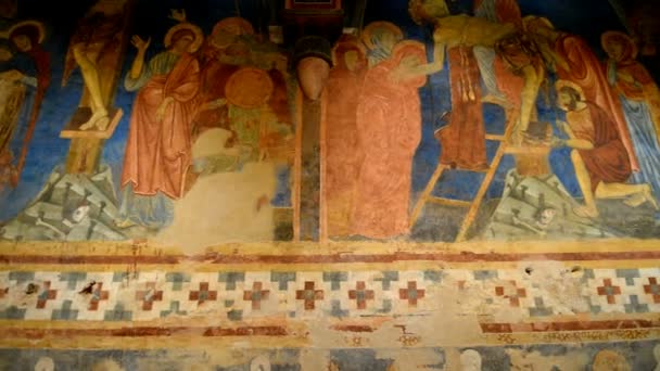 Siena Italien Juli 2015 Väggmålningar Den Underjordiska Katedralen Siena Toscana — Stockvideo