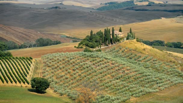 Dini Hari Pedesaan San Quirico Dorcia Tuscany Italia — Stok Video