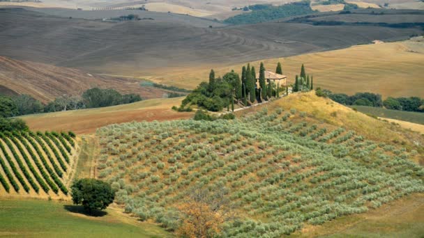 Brzy Ráno Venkově San Quirico Dorcia Toskánsko Itálie — Stock video