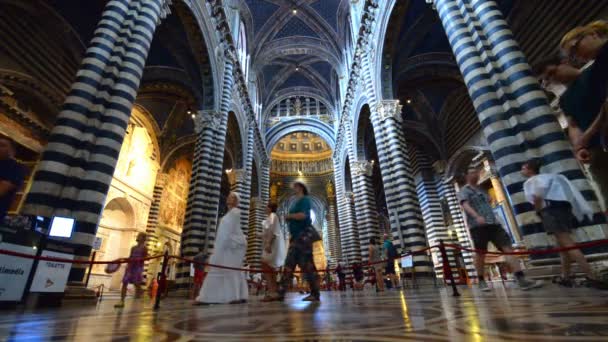 Siena Italy Июля 2015 Соборные Интерьеры Сиены Италия Июля 2015 — стоковое видео