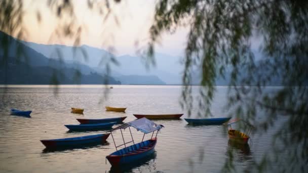 Pokhara Nepal Dezember 2017 Bunte Boote Auf Dem Fewa See — Stockvideo