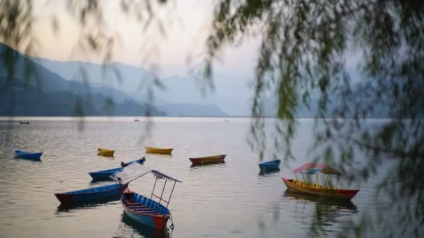 Pokhara Nepal 2Ος Δεκεμβριοσ 2017 Πολύχρωμα Σκάφη Στη Λίμνη Phewa — Αρχείο Βίντεο