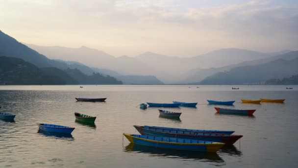 Pokhara Nepal December 2017 Färgglada Båtar Phewa Sjön Pokhara Nepal — Stockvideo