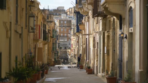 Valletta Malta Februar 2018 Straße Von Valletta Malta Europa — Stockvideo