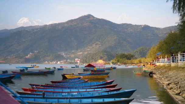 2017年12月2日 在尼泊尔博克拉的Phewa湖中的五彩斑斓的船只 — 图库视频影像