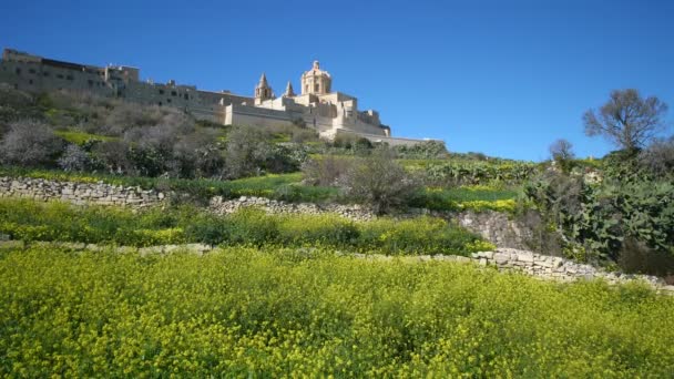 Gesamtansicht Der Mdina Malta Europa — Stockvideo