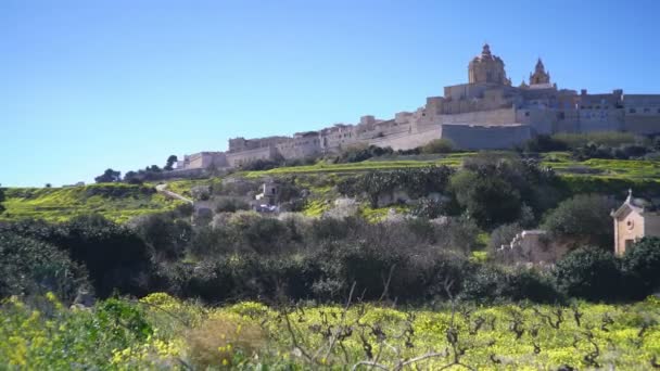 Algemeen Overzicht Van Mdina Malta Europa — Stockvideo