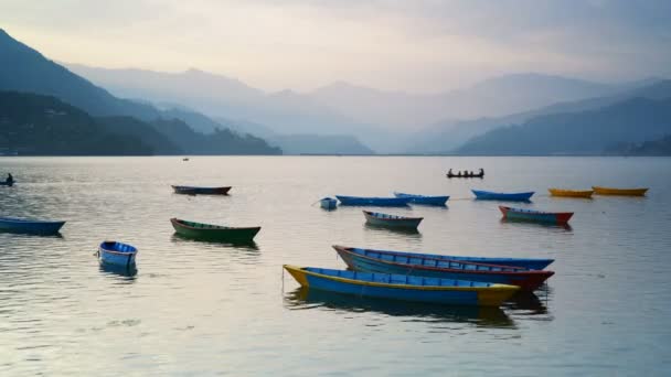 Pokhara Nepal Dezember 2017 Bunte Boote Auf Dem Fewa See — Stockvideo