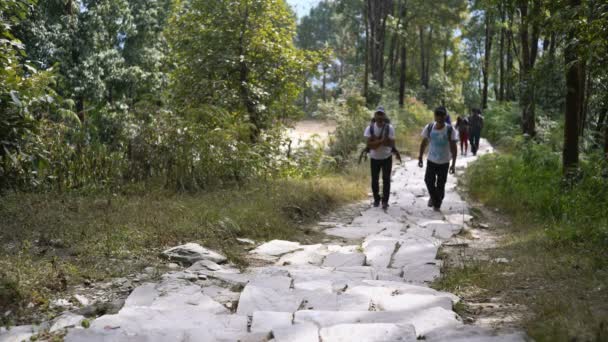 Dhampus Nepal Prosince 2017 Turisté Jedou Výlet Základního Tábora Annapurna — Stock video