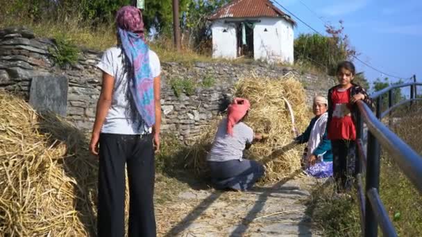 Dhampus Nepal Dezembro 2017 Mulheres Locais Carregando Feno Aldeia Dhampus Vídeo De Stock