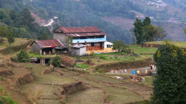 尼泊尔Dhampus村 Annapurna基地徒步旅行 — 图库视频影像