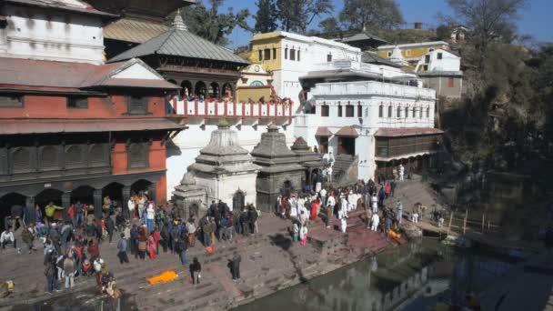 Kathmandu Nepal 2017 December Hamvasztás Folyó Partján Pashupatinath Templomban Katmanduban — Stock videók