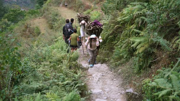 Tolka Nepal December 2017 Kvinnor Bär Trä Korgarna Nära Byn — Stockvideo