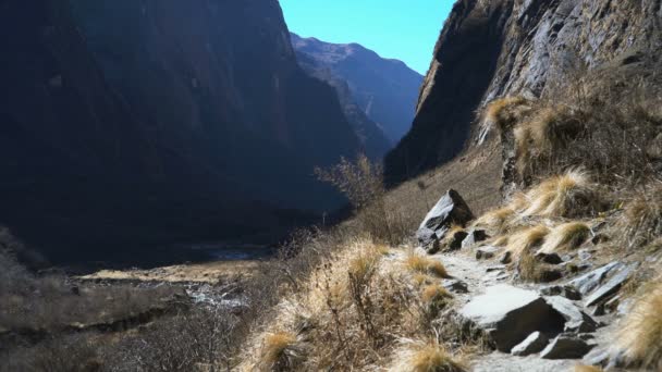 Nepal 25Th December 2013 People Walking Annapurna Base Camp Nepal — Stock Video