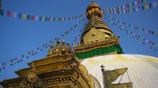 Boudhanath Stupa概况 尼泊尔加德满都 — 图库视频影像