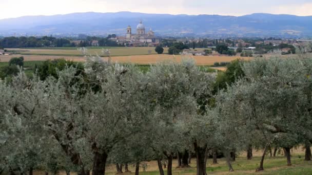 Flygfoto Över Florens Toscana Italien Europa — Stockvideo