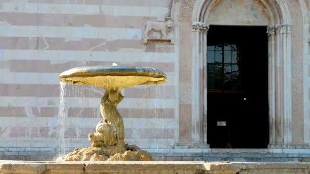 意大利Umbria Assisi Santa Chiara大教堂前喷泉的特写 — 图库视频影像