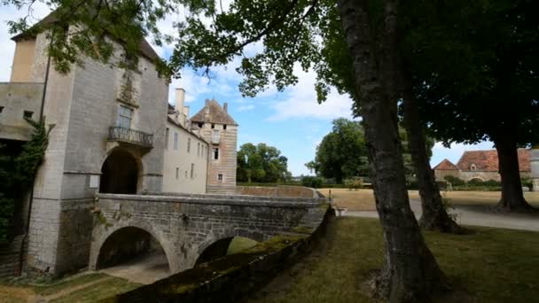 Gamla Stenbron Över Floden Cure Pierre Perthuis Bourgogne Frankrike Europa — Stockvideo