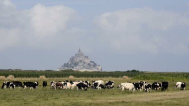 mera ve Mont Saint Michel inek