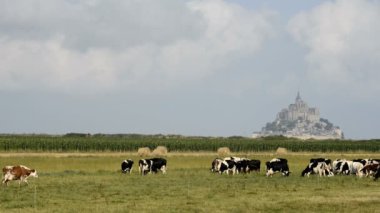 mera ve Mont Saint Michel inek
