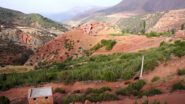 Toubkal National Park — Stock Video