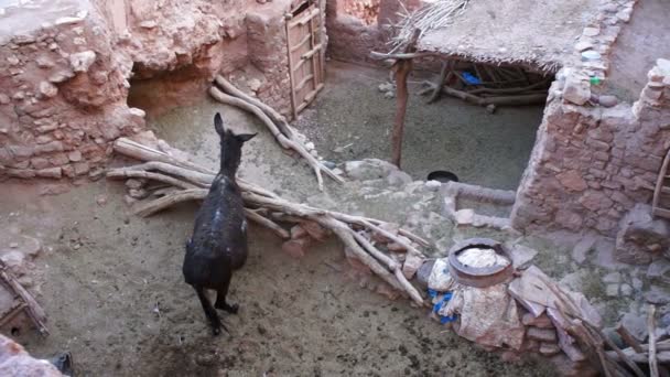 Montañas Atlas, Tamdaght, Marruecos — Vídeos de Stock