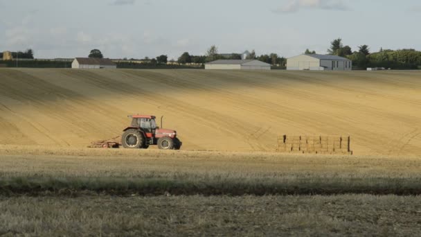 Traktor harva ett fält — Stockvideo