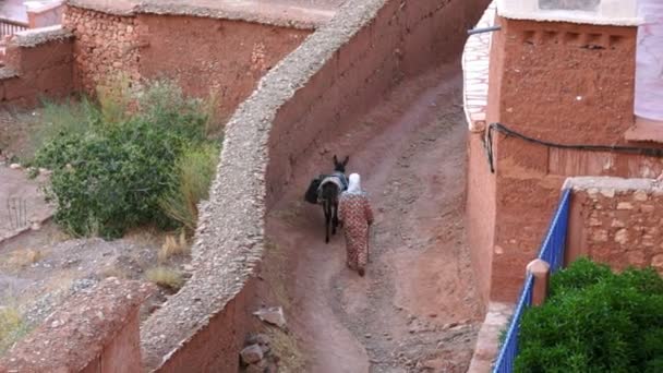 Dodávky vody v severní Africe pohoří, Maroko vysoký Atlas — Stock video
