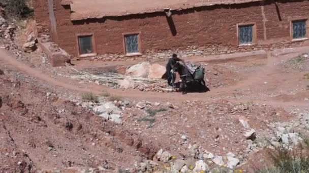 Cavalier sur un âne dans la vallée d'Ounila au pied des montagnes de l'Atlas, Tamdaght, Maroc — Video