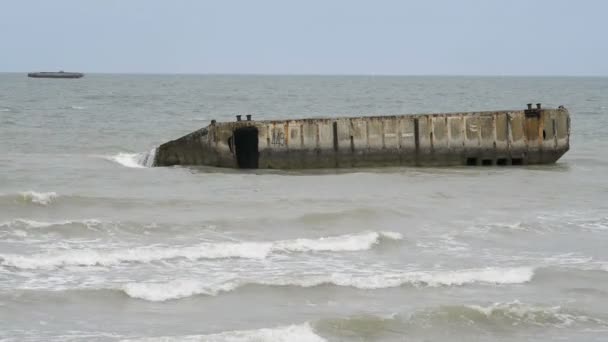 Port de mûrier en Normandie Franc — Video