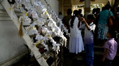 Hacılar, Sri Maha Bodhi