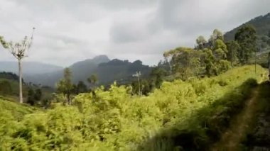 Nuwara Eliya'dan Ella'ya tren