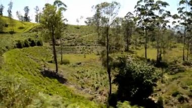 Nuwara Eliya'dan Ella'ya tren