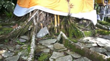 Bali Adaları'nda Hindu tapınağı
