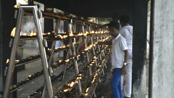 Pilgrims at Sri Maha Bodhi — Stock Video