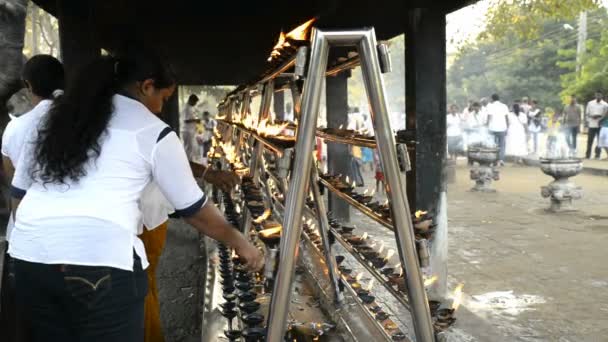 Peregrinos em Sri Maha Bodhi — Vídeo de Stock